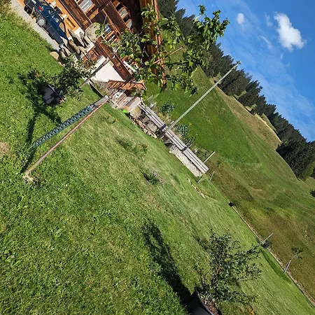 Grittelihus, Between Interlaken - Gstaad