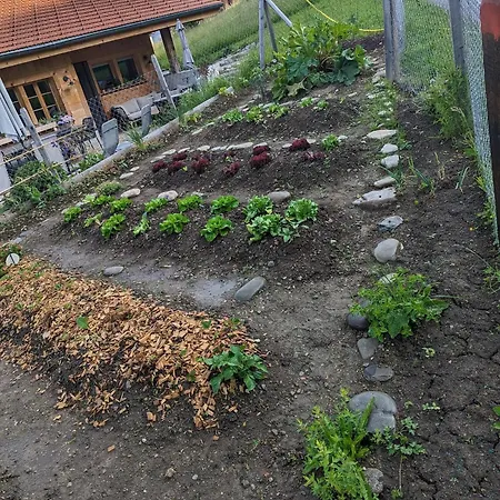 Σαλέ Grittelihus, Large Bathroom, Lots Of Living Space, Nahe Interlaken Diemtigen