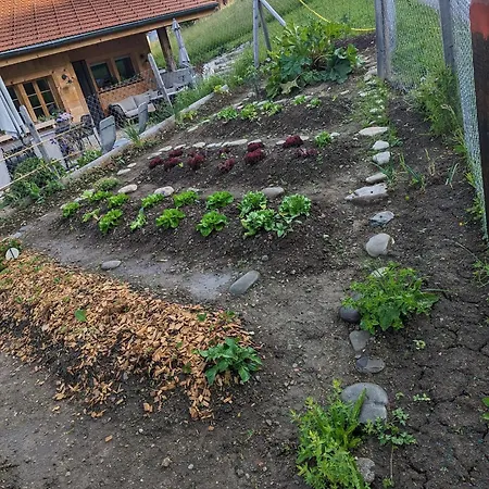 Horská chata Grittelihus, Between Interlaken - Gstaad Diemtigen