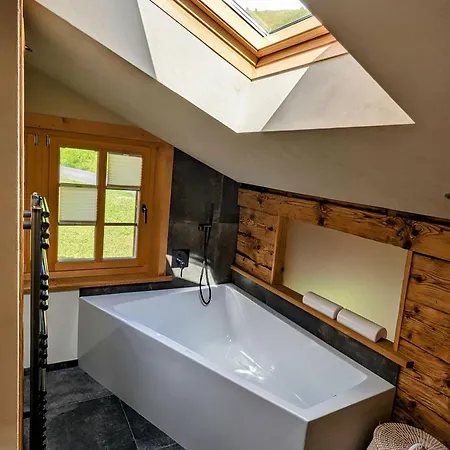 Grittelihus, Large Bathroom, Lots Of Living Space, Nahe Interlaken