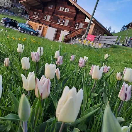 Chalet Grittelihus, Large Bathroom, Lots Of Living Space, Nahe Interlaken Diemtigen