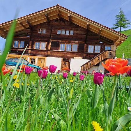 Grittelihus, Between Interlaken - Gstaad * Diemtigen