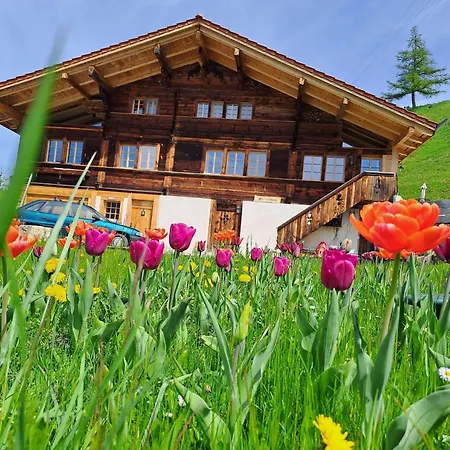 Grittelihus, Large Bathroom, Lots Of Living Space, Nahe Interlaken * Diemtigen