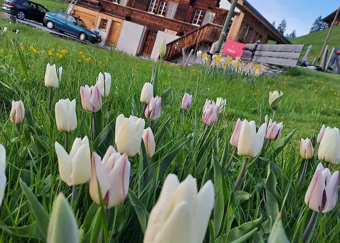 Chalet Grittelihus, Between Interlaken - Gstaad Diemtigen