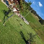 Grittelihus, Between Interlaken - Gstaad