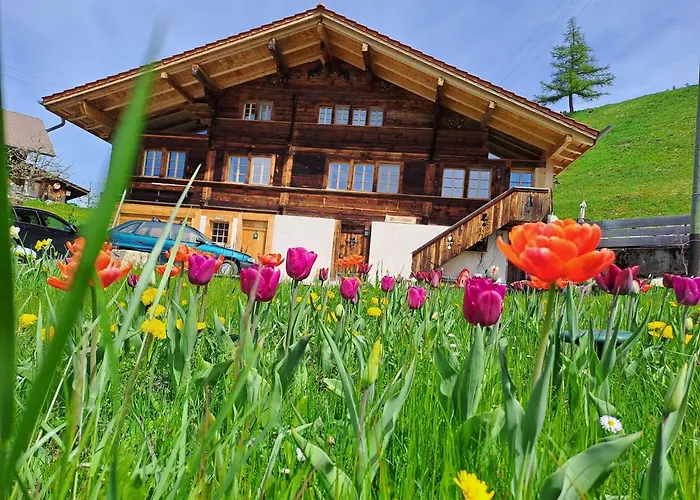 Grittelihus, Between Interlaken - Gstaad * Diemtigen